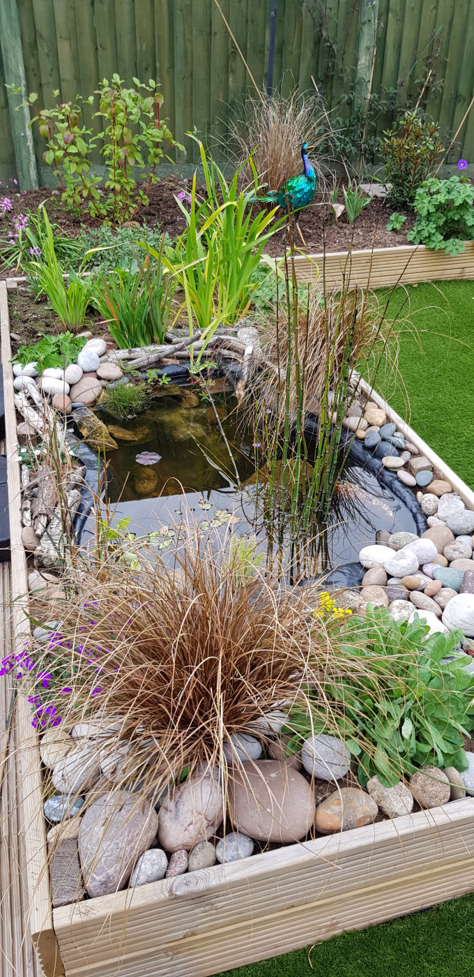 Wildlife pond build Page 7 — BBC Gardeners' World Magazine