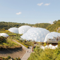 adamdyjak8754Tdg2NxM