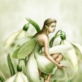 Lyn