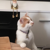 Sophie.moscrop