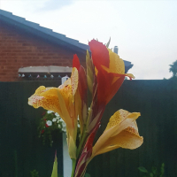 nigel_fleming_