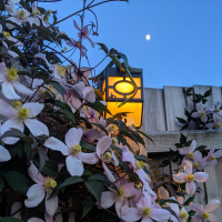 parinitharao16JsfIBIF0