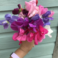 MrsFlowerPot