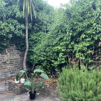 inesnstp.enfYSQxUuIE