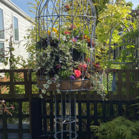 gailoldfieldN0zbEQCZ