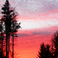 janine.capaldiCx6BlbjT