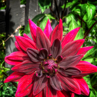 juliesmith2000VtdOXFcp