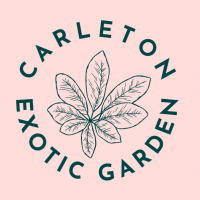 carletonexotic
