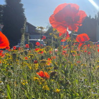 bluerocketgirlyYTbzYfa0