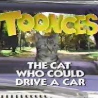 bradleyheathhayskqy71oZz