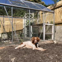 joseph.forrestrgml9jTz