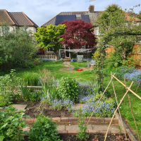 sue101mullinsAMmduJn7