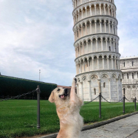 (HGH)Apollo