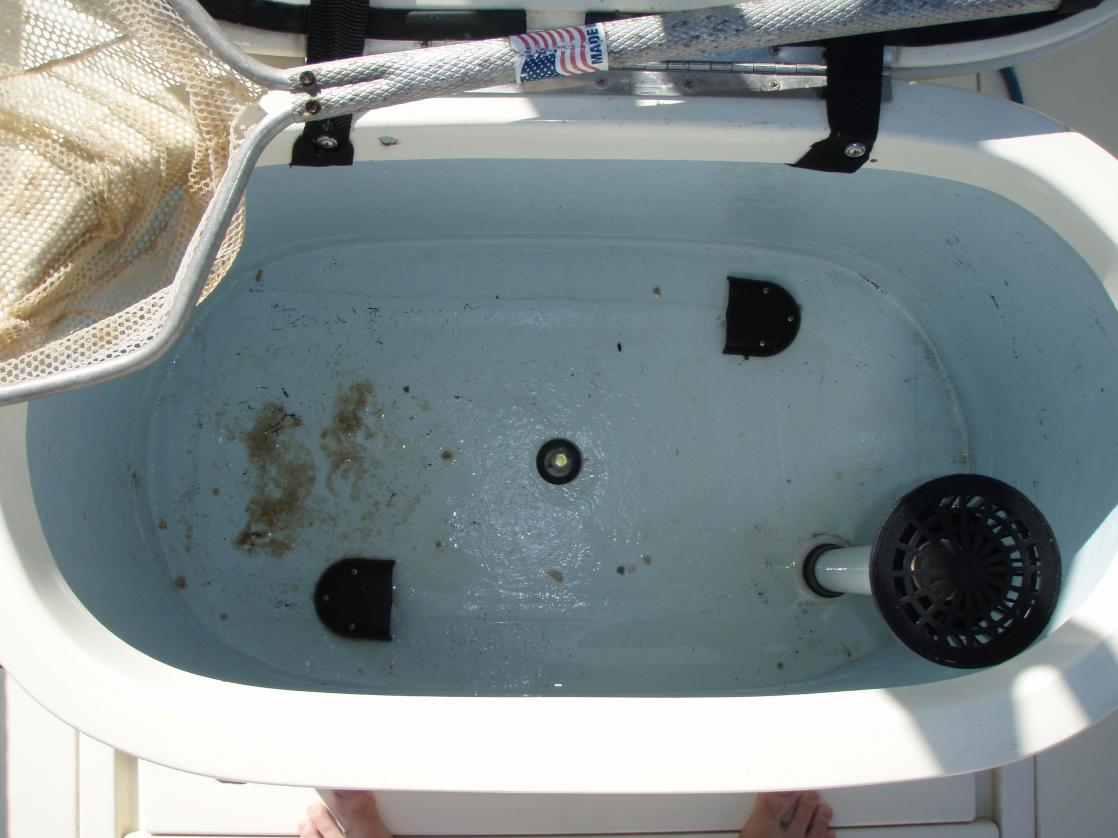 Ultimate livewell setup? — Florida Sportsman
