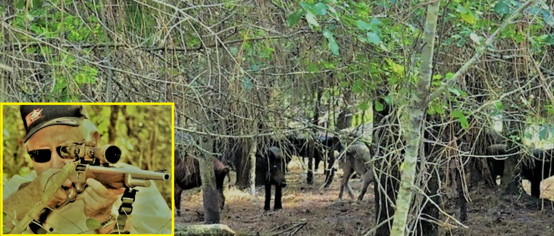 Citrus WMA Question — Florida Sportsman