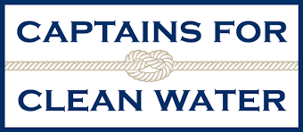 Image: https://us.v-cdn.net/6030354/uploads/editor/ev/rlwwjaafiede.png