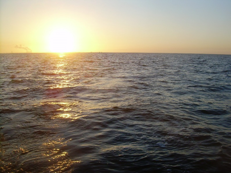 Image: https://us.v-cdn.net/6030354/uploads/editor/ie/m1wfrfsyajp8.jpg