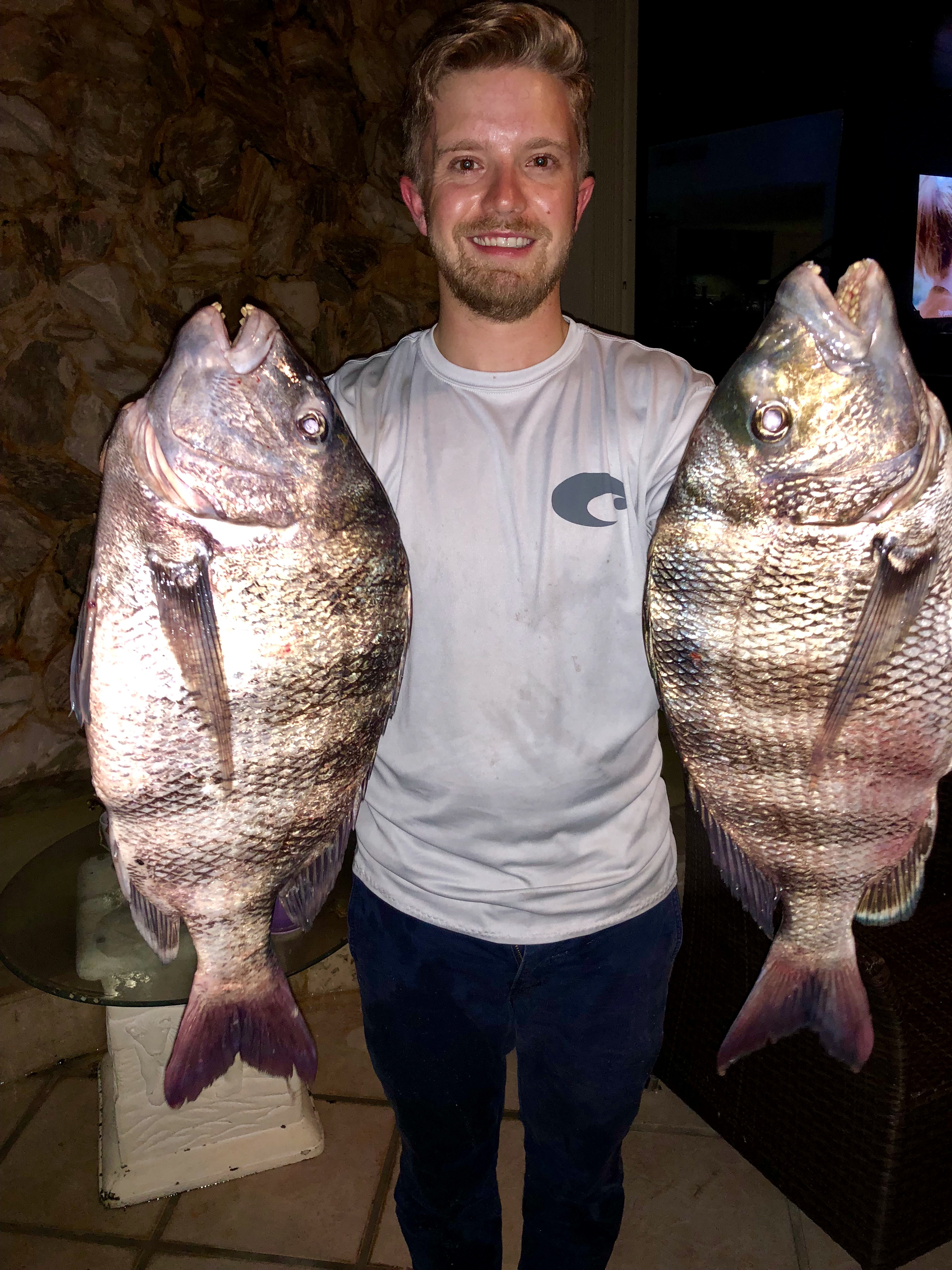 sheepshead fish bite