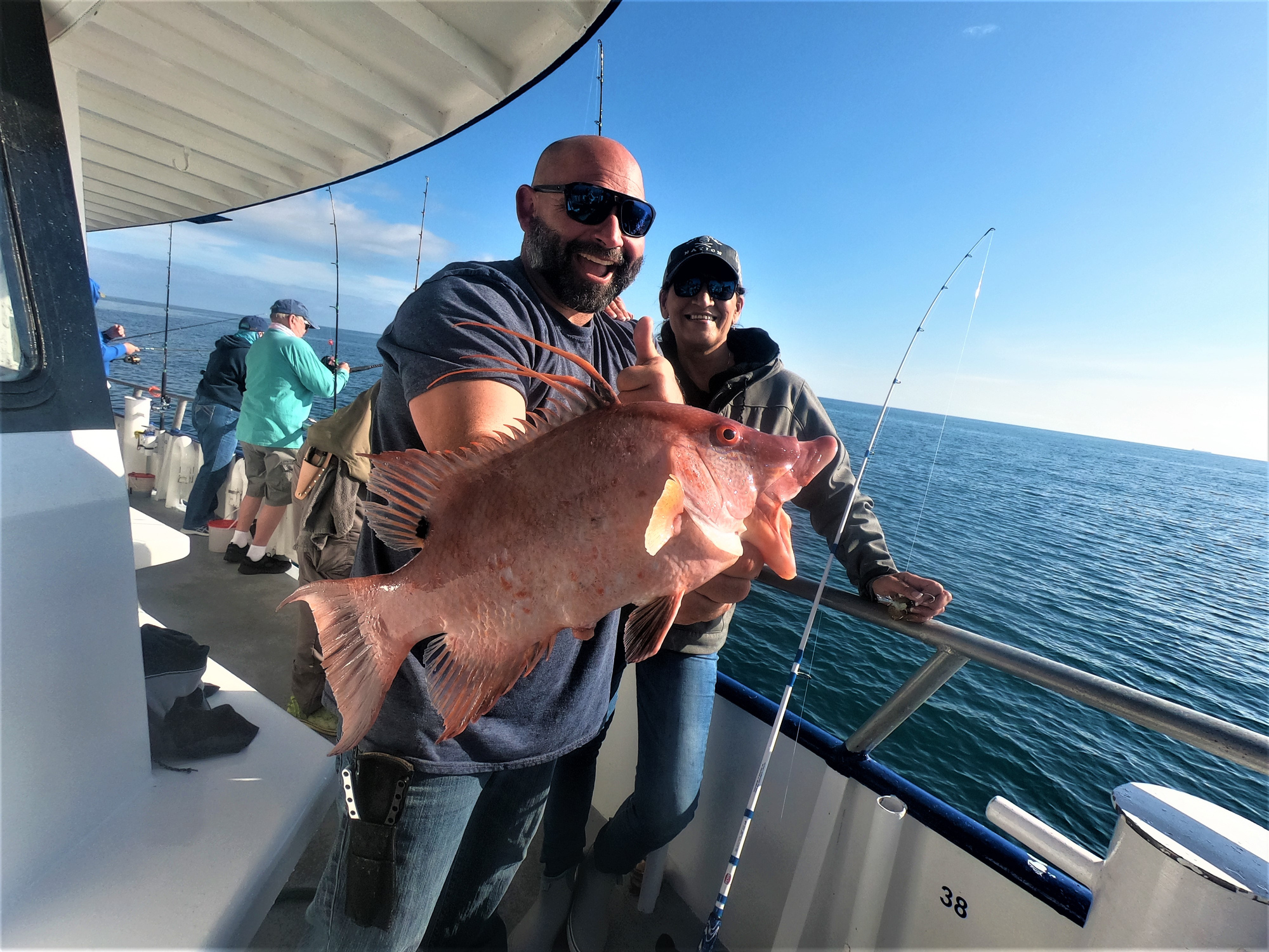 targeting hogfish