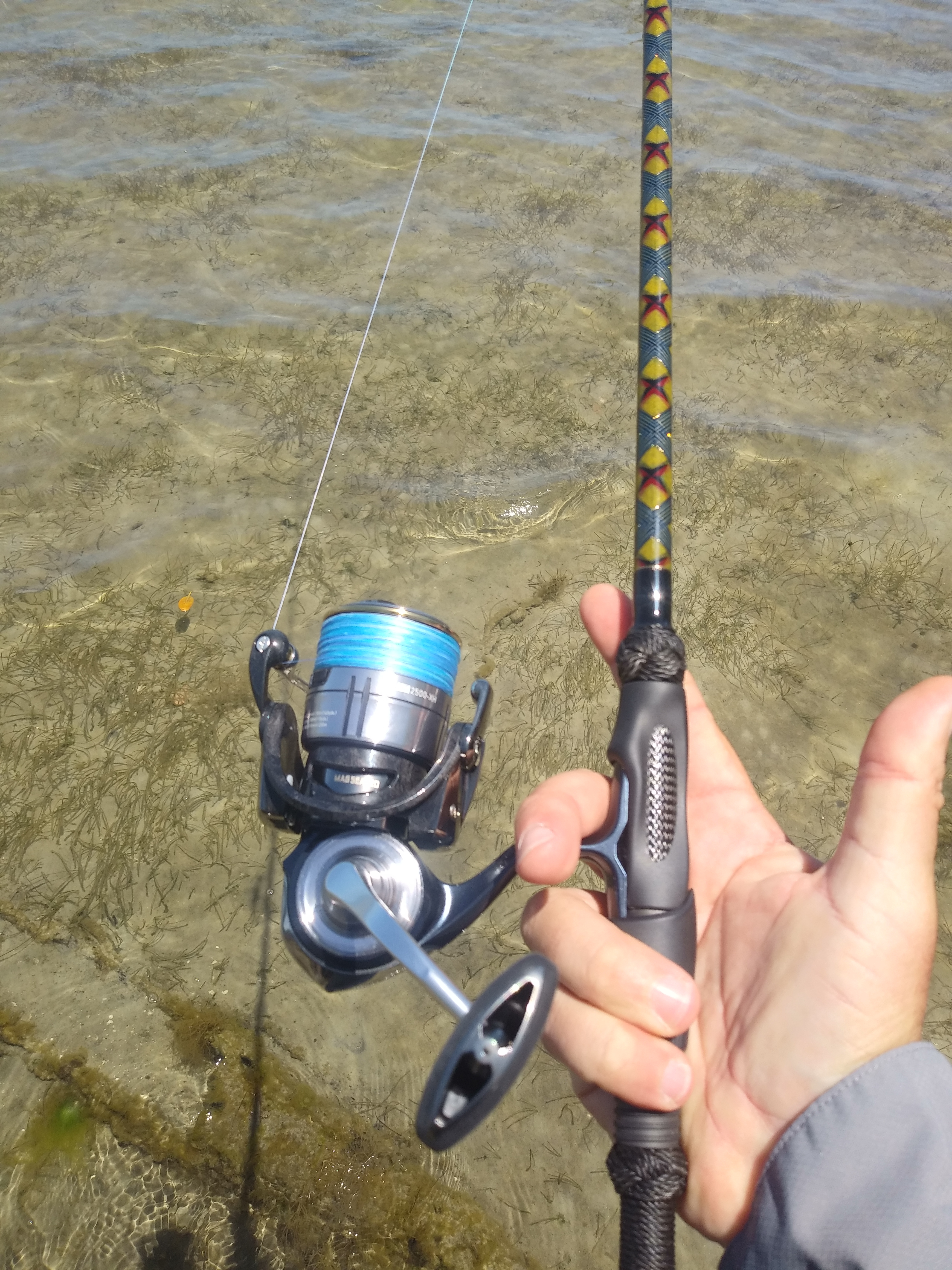 daiwa certate lt