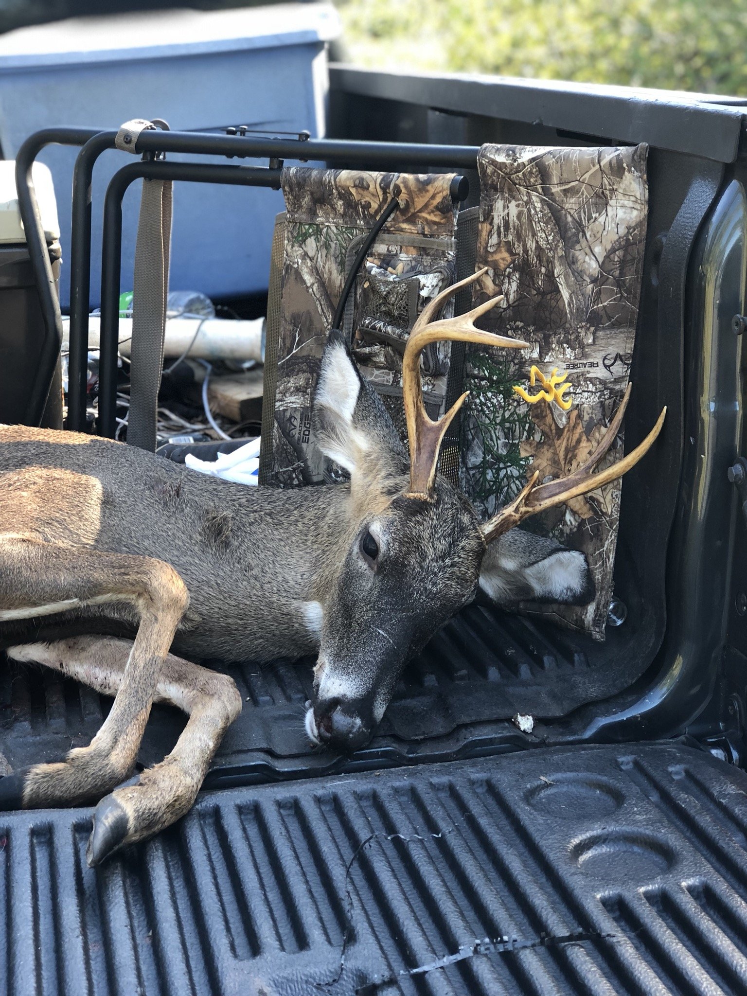 blackout turkey lounger folding hunting chair