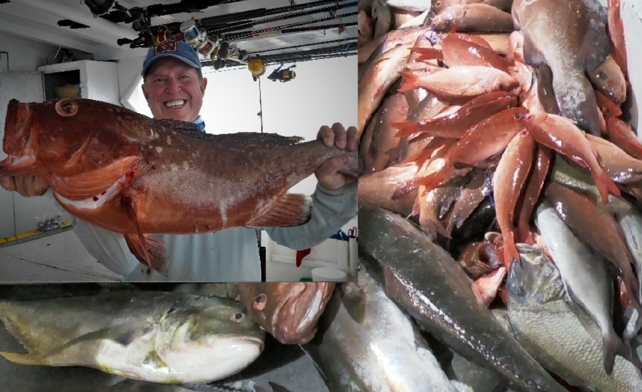 Long range fishing on the last quarter moon phase florida sportsman