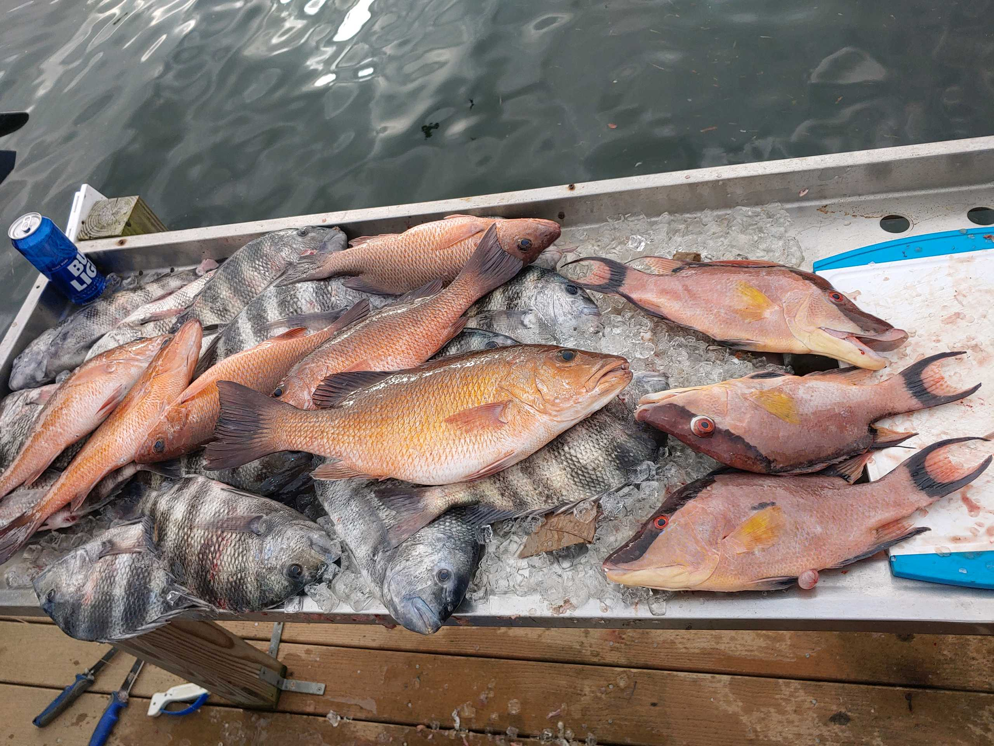 Hogfish jigs and Snapper jigheads — Florida Sportsman