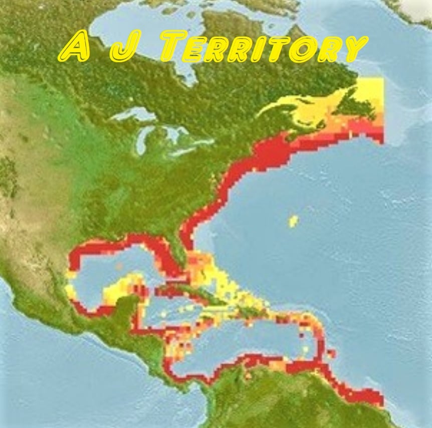 Image: https://us.v-cdn.net/6030354/uploads/editor/x5/a51jgy2bhjuv.jpg