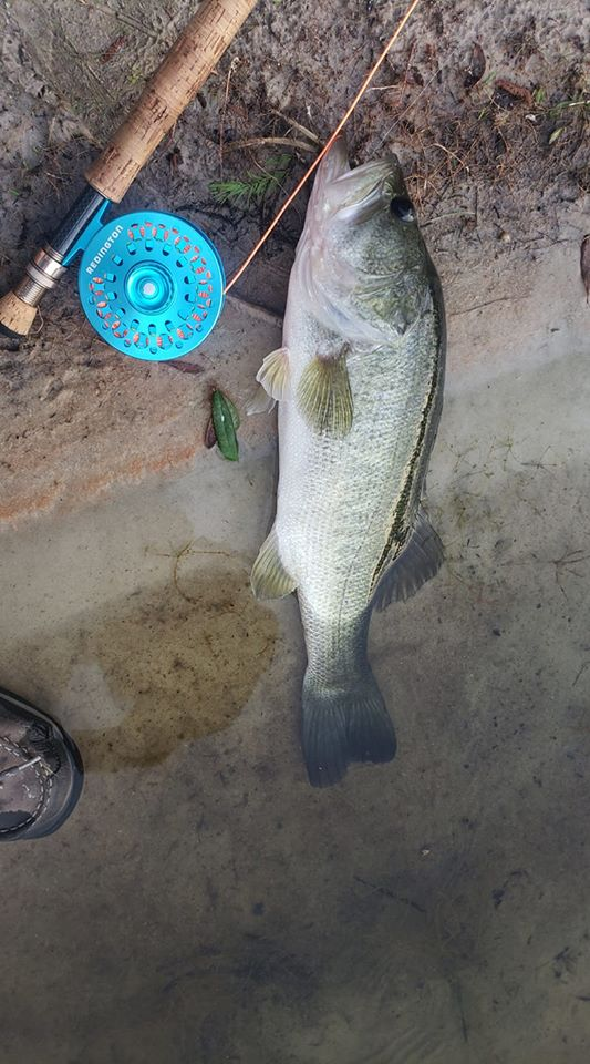 Bass bite was on tonight — Florida Sportsman