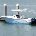 aquaholic73