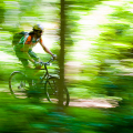 Cyclist