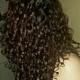 CurlySusy