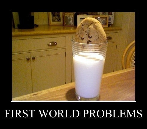 First+world+problems+milk+and+cookies+them+darm+first_419d89_3174805.jpg