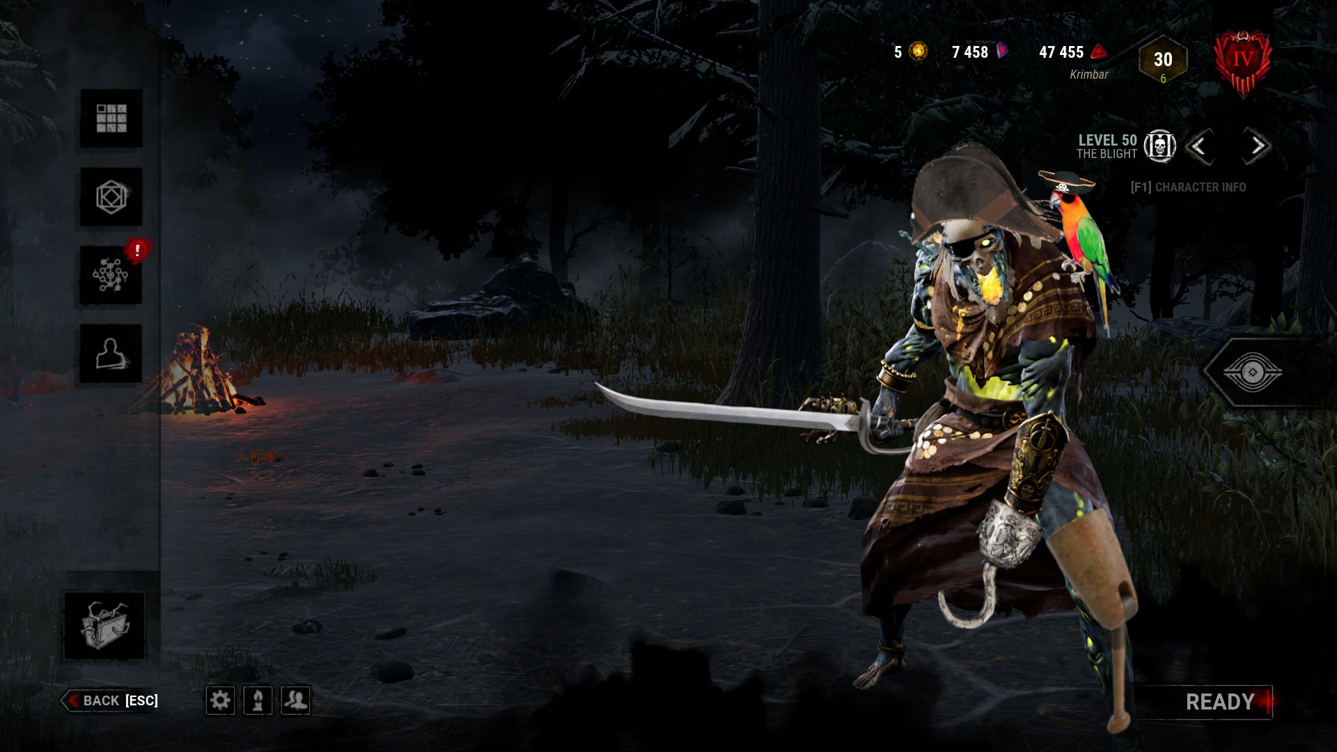 pirate collection 2.jpg