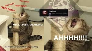 images (1).jpeg
