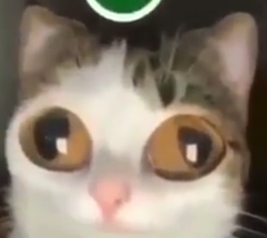 golly gee.png