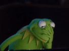 1486475207-kermit-gif-facepalm.gif