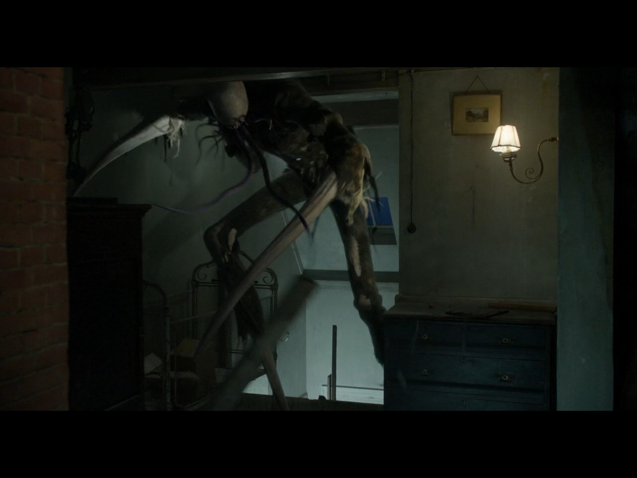 Feral frenzy animations