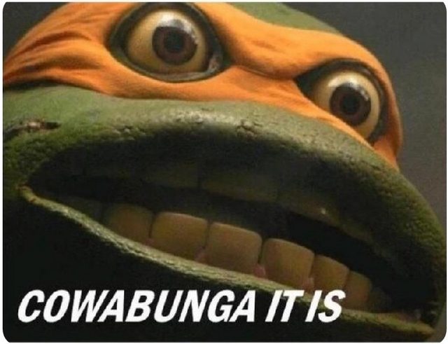 CowabungaItIS2.jpg