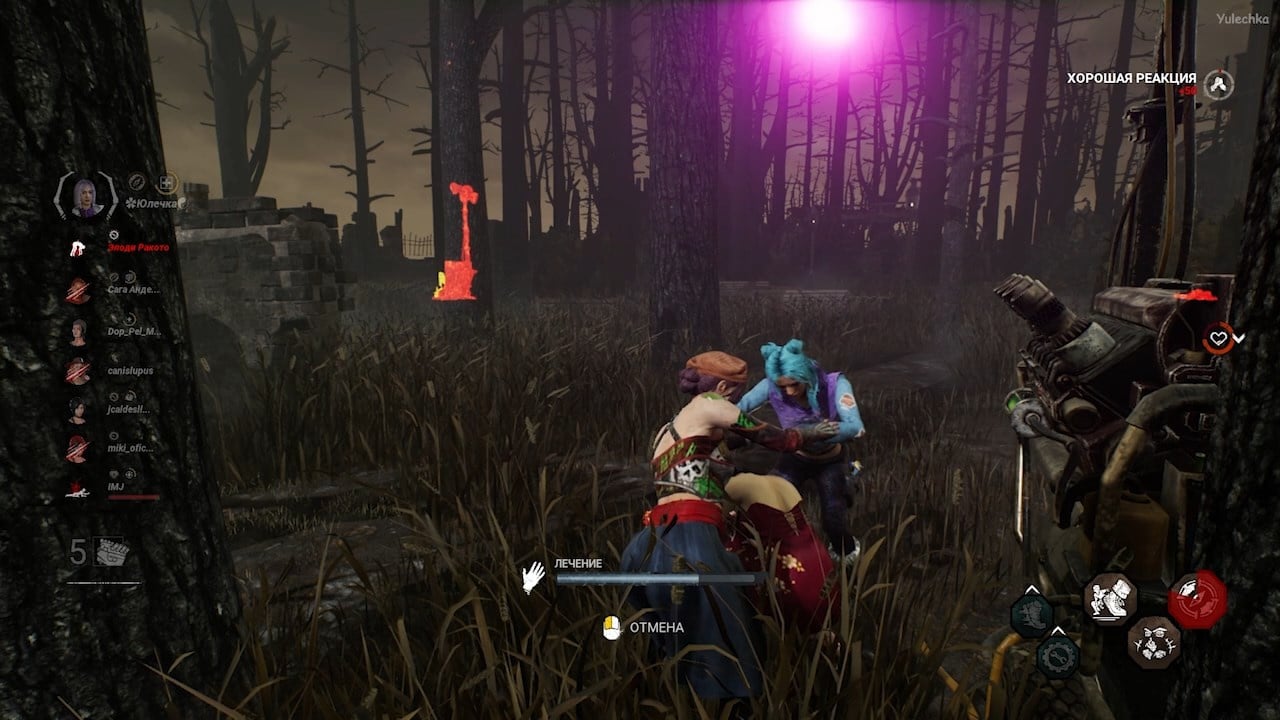 dbd light bug.mp4_snapshot_00.02.135.jpg