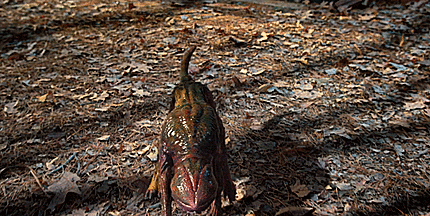 tumblr_468bd8447e568aace450736b47f13acf_113ff1c6_500.gif