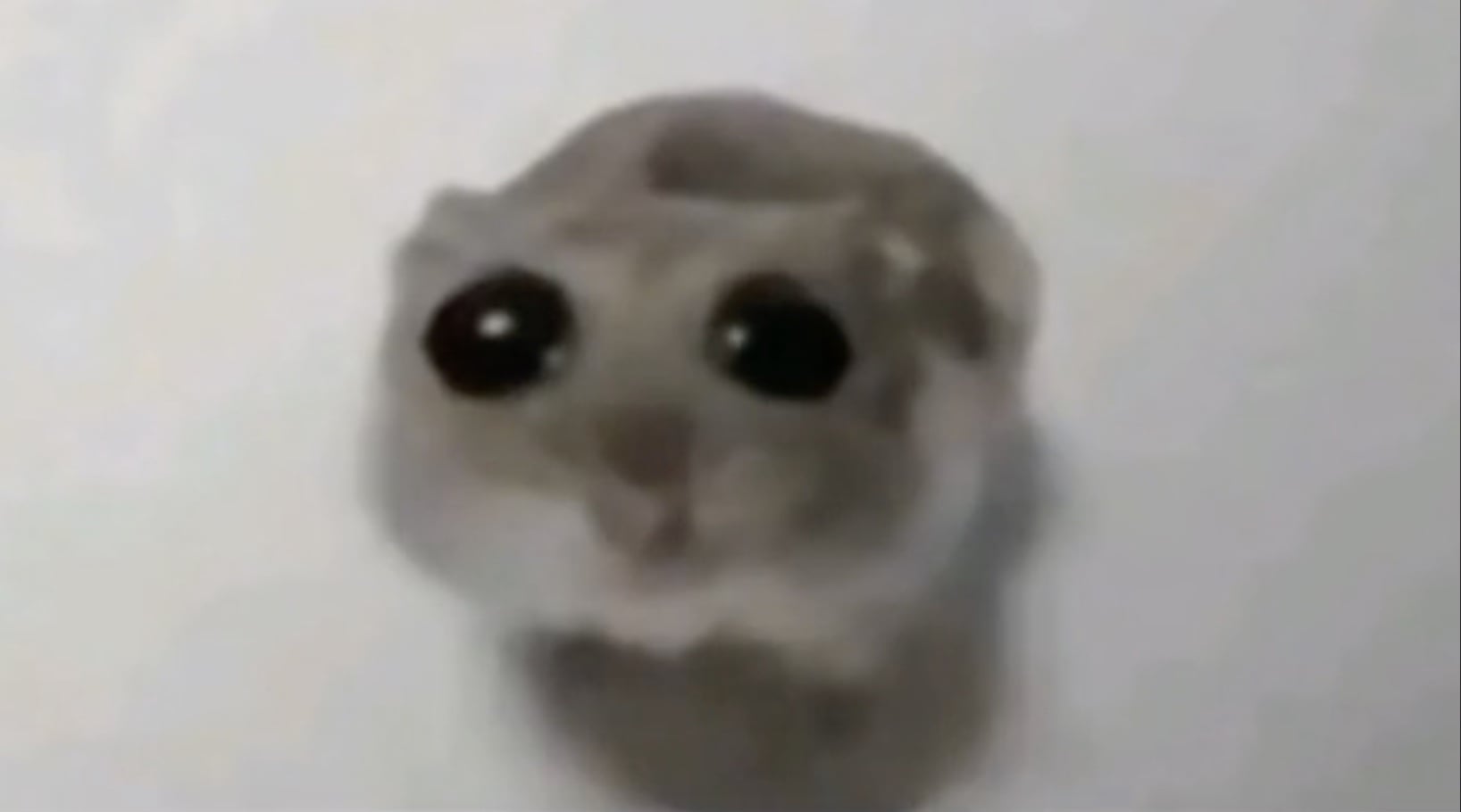 image.jpeg