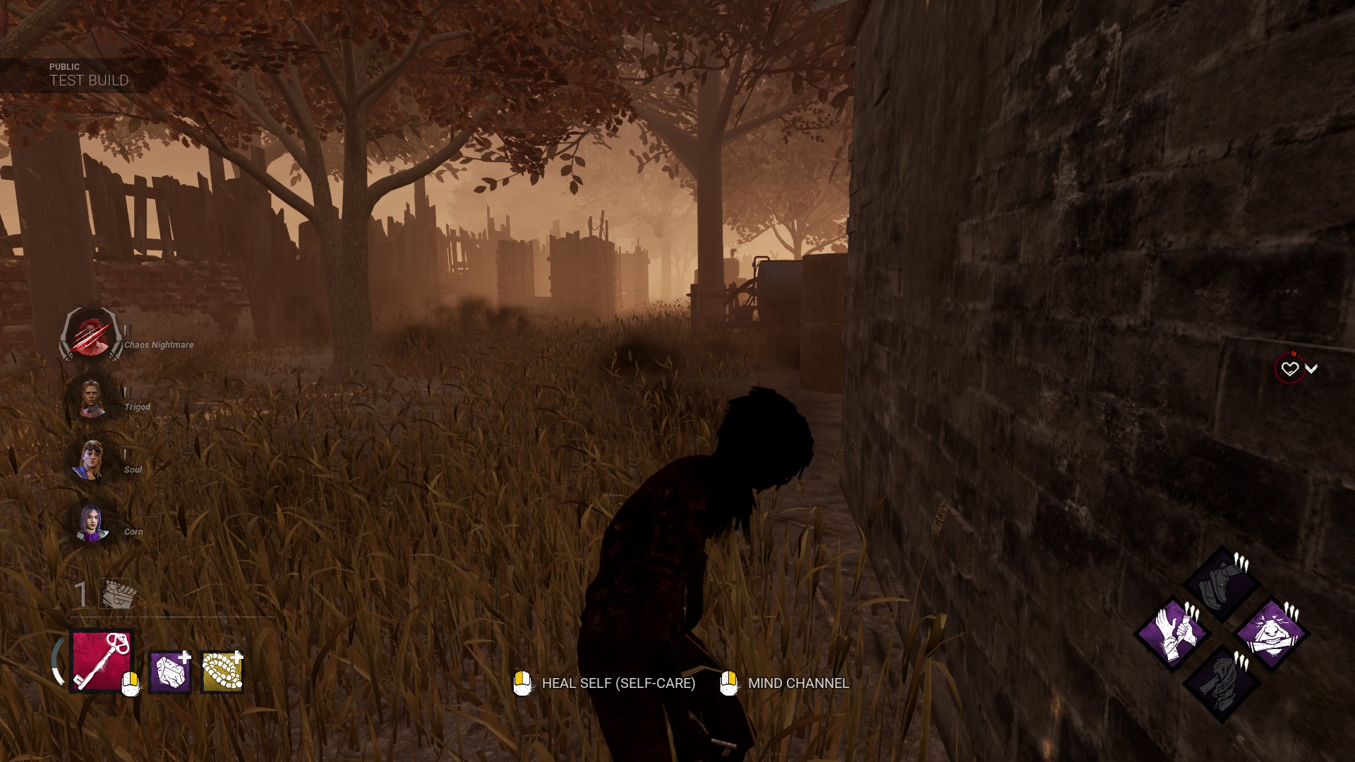 Can t Touch The Wall Of Cowshed Dead By Daylight