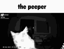 peeper.gif