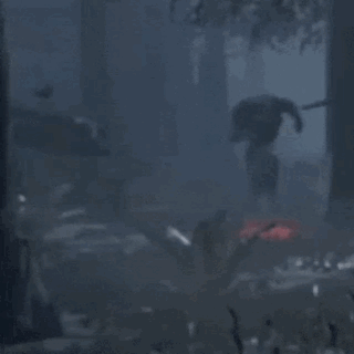 nemesis-nemesis-dbd.gif