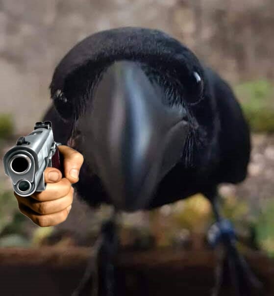 Stevegull Still Exists BHVR Stevegull Still Exists BHVR