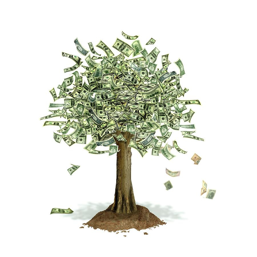 money-tree-conceptual-artwork-leonello-calvetti.jpg