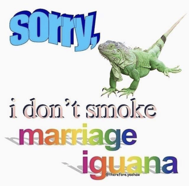lizard-dont-smoke-marriage-iguana-ethereforeyeehaw.png