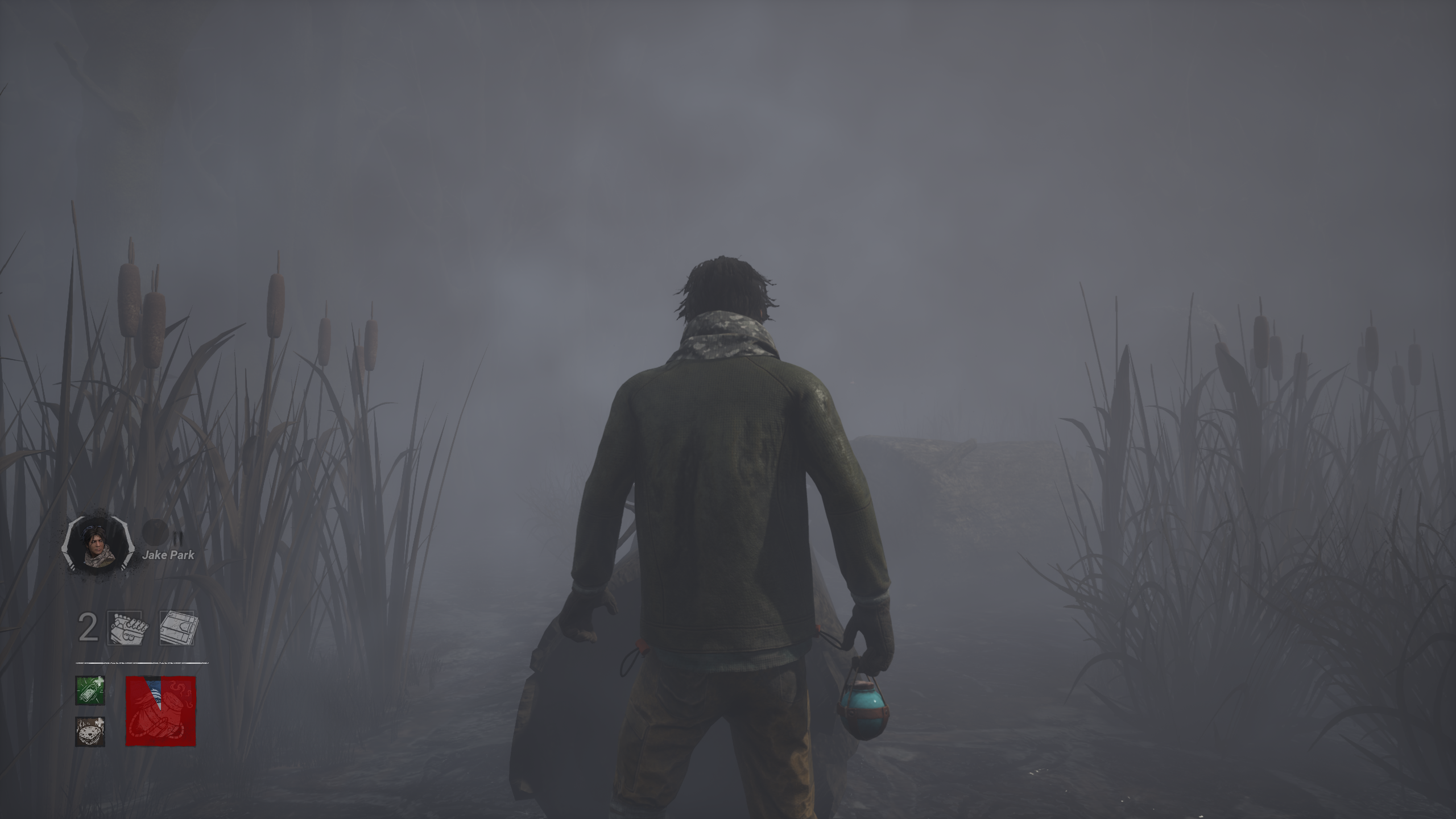 Fog 1.png