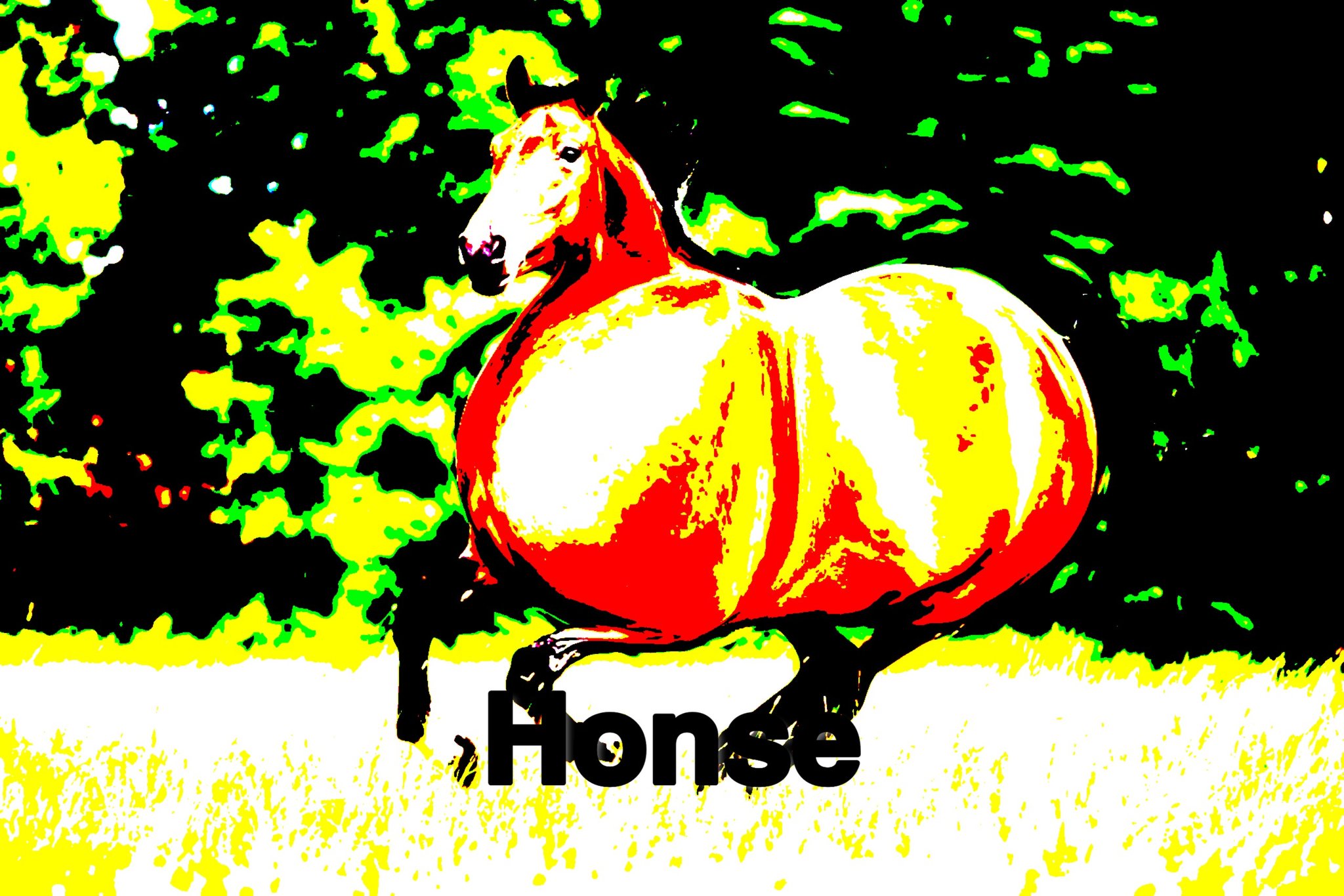 03C4252C-D0D0-4175-8190-55DFCB6E1EBA.jpeg